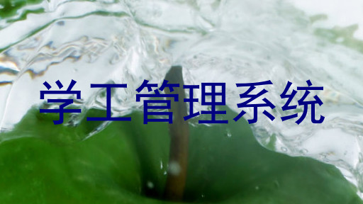 学工管理系统