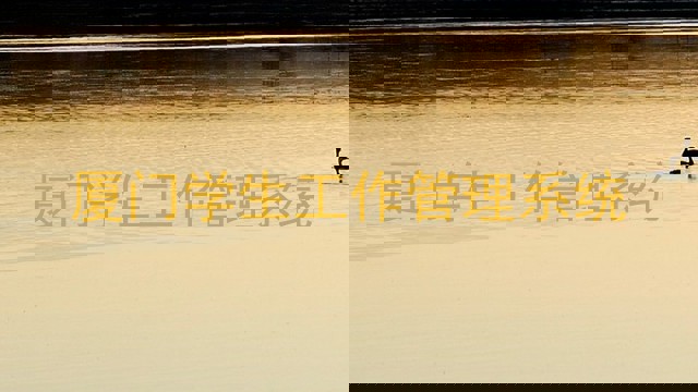厦门学生工作管理系统
