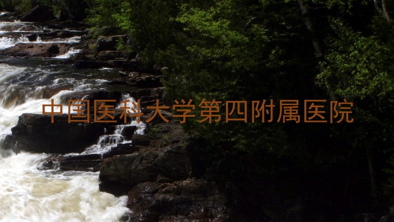 中国医科大学第四附属医院