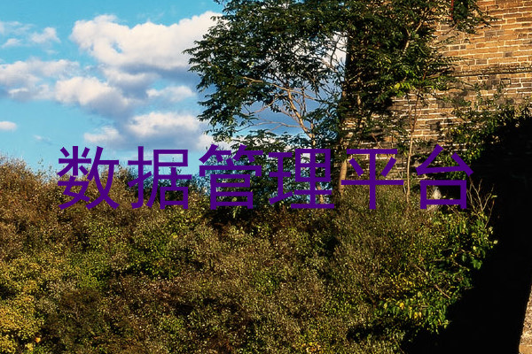 数据管理平台