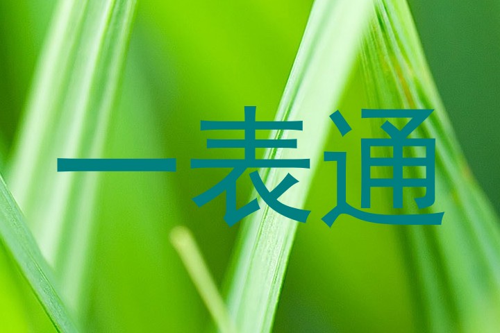 一表通