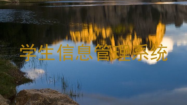 学生信息管理系统