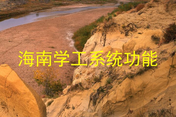 海南学工系统功能