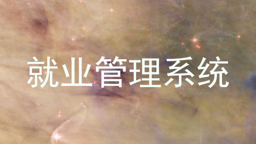 就业管理系统