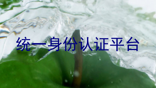 统一身份认证平台