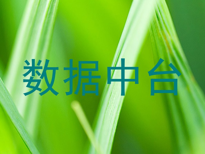数据中台