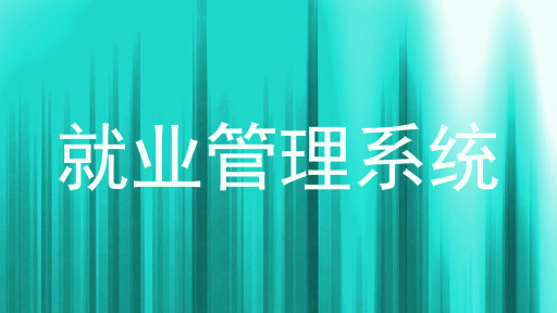 就业管理系统