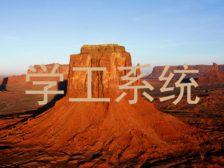 学工系统
