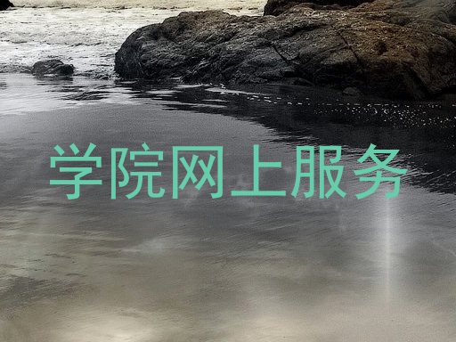 学院网上服务