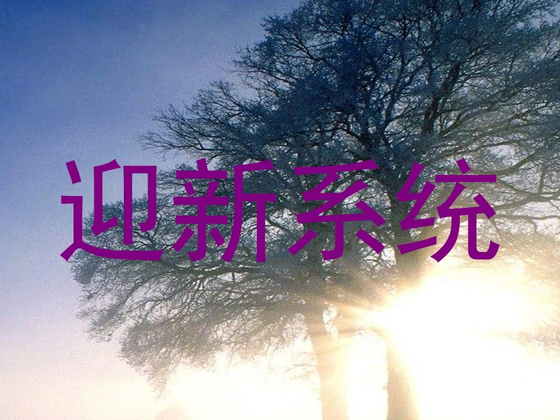 迎新系统