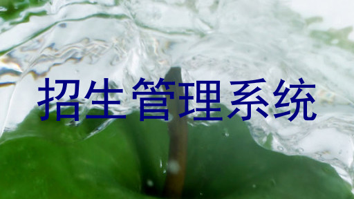 招生管理系统