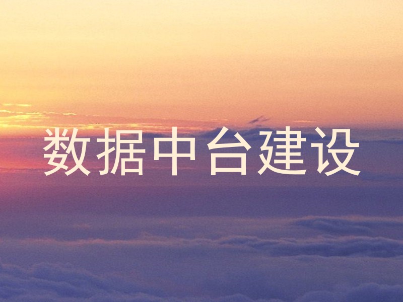 数据中台建设