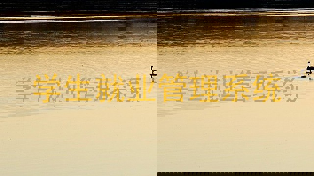学生就业管理系统