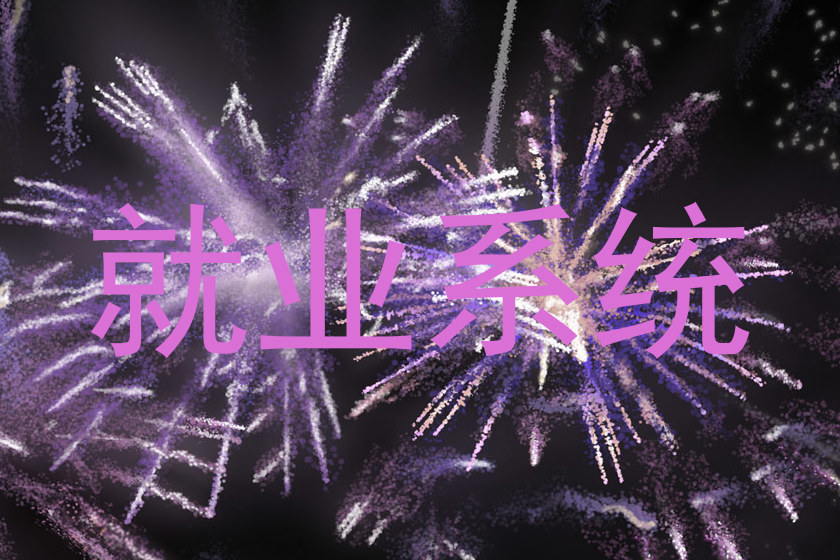 就业系统