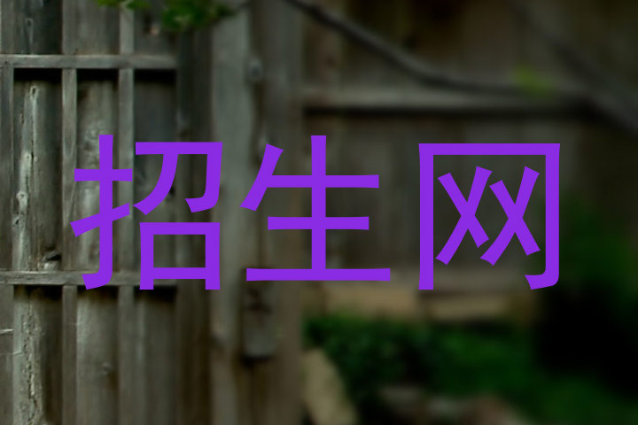 招生网