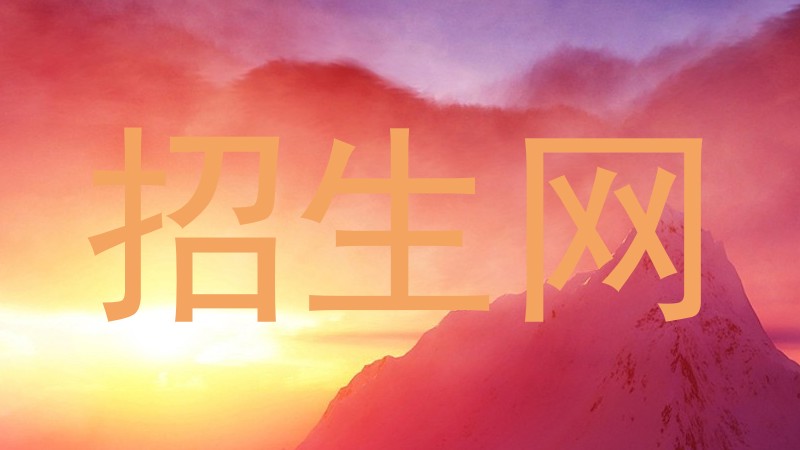 招生网