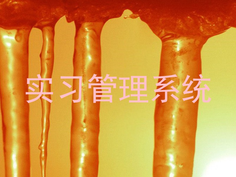 实习管理系统