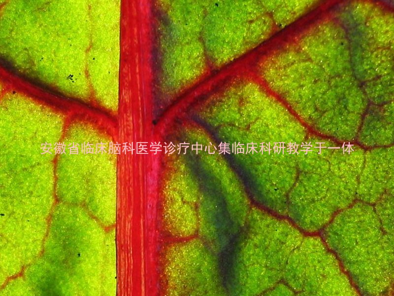 安徽省临床脑科医学诊疗中心集临床科研教学于一体