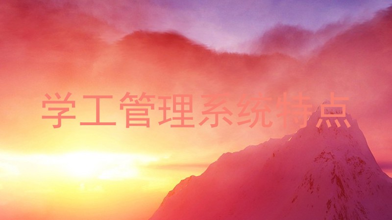 学工管理系统特点