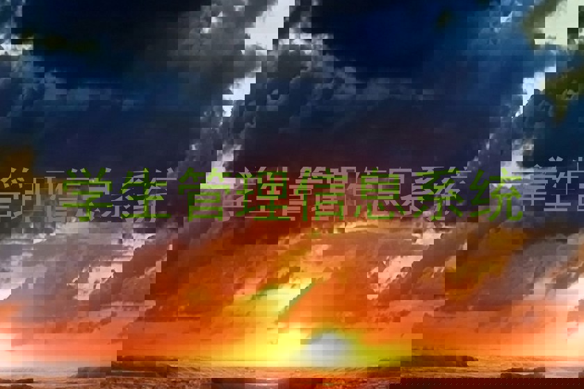 学生管理信息系统