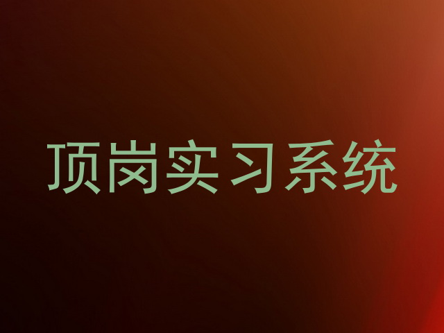 顶岗实习系统