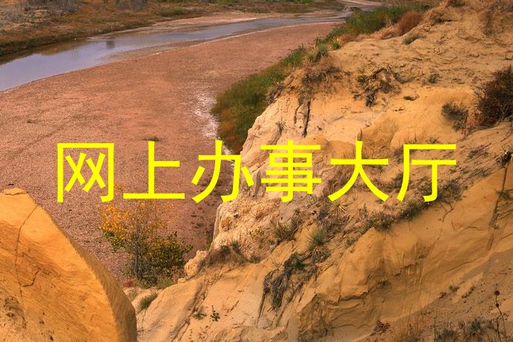网上办事大厅