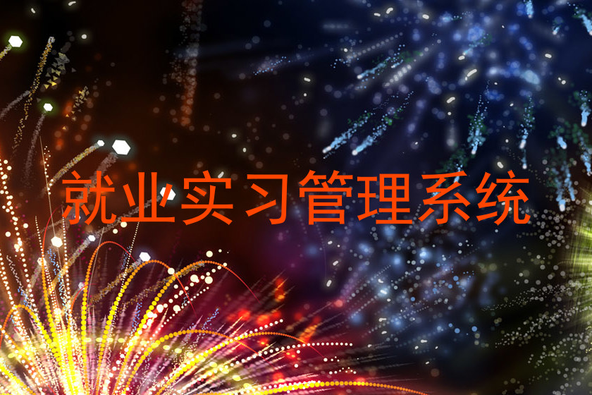 就业实习管理系统