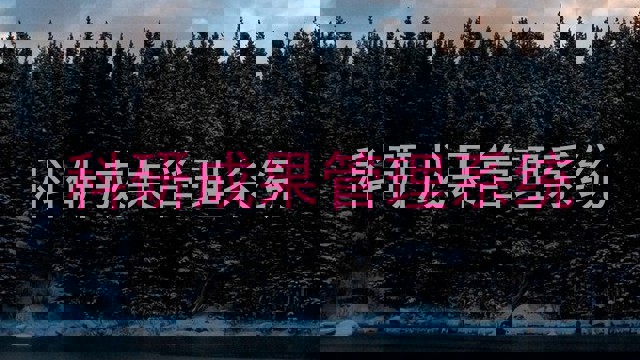 科研成果管理系统
