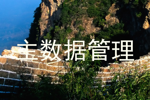 主数据管理