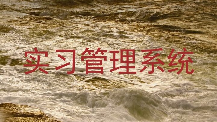 实习管理系统