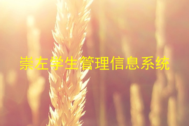 崇左学生管理信息系统