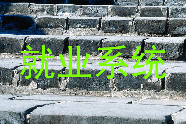 就业系统