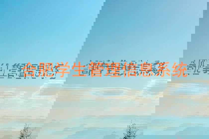 合肥学生管理信息系统