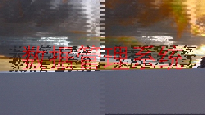 数据管理系统