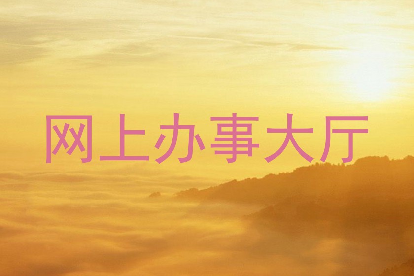 网上办事大厅