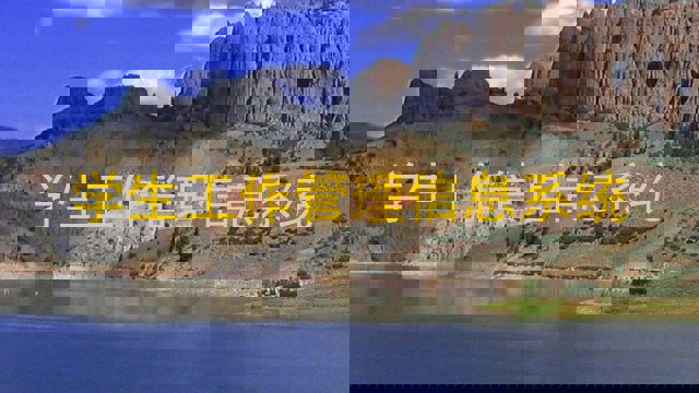 学生工作管理信息系统