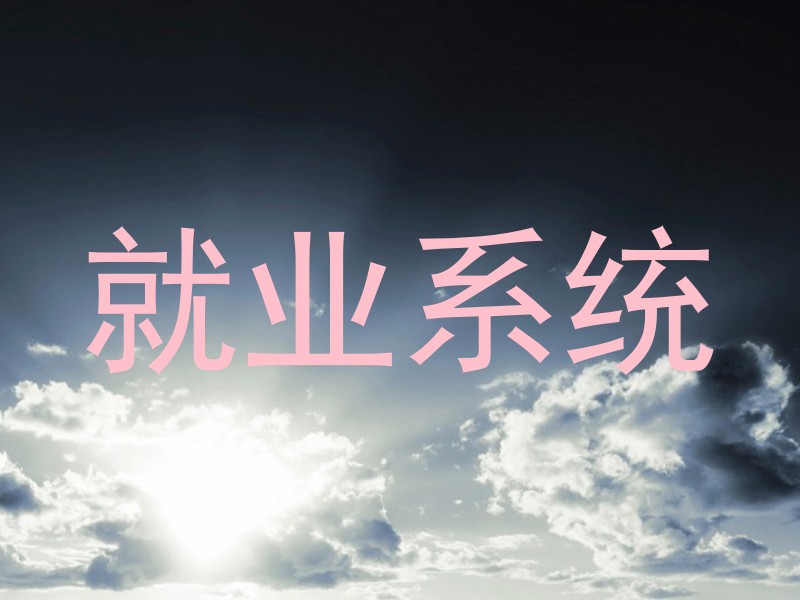 就业系统