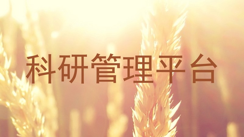 科研管理平台