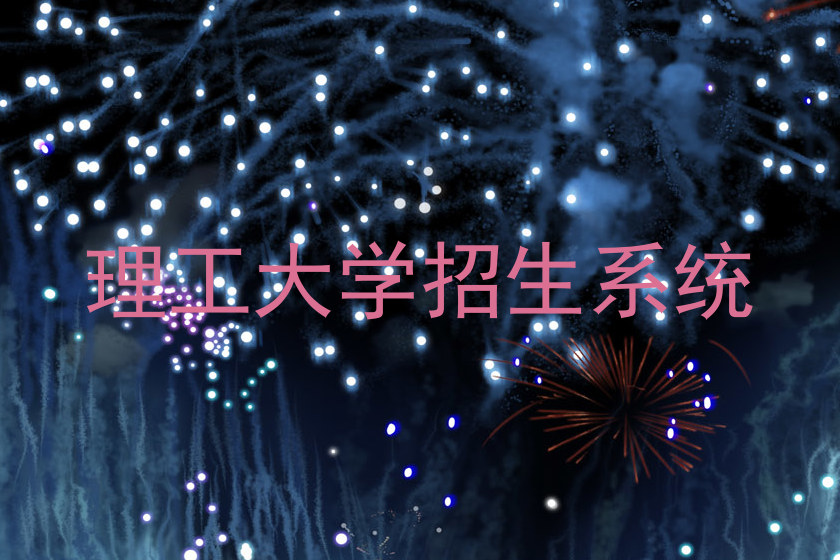 理工大学招生系统