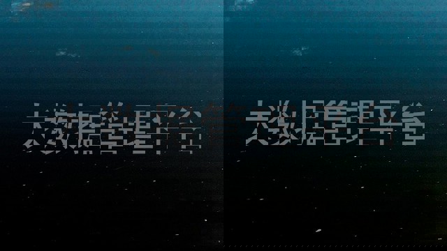 大数据管理平台