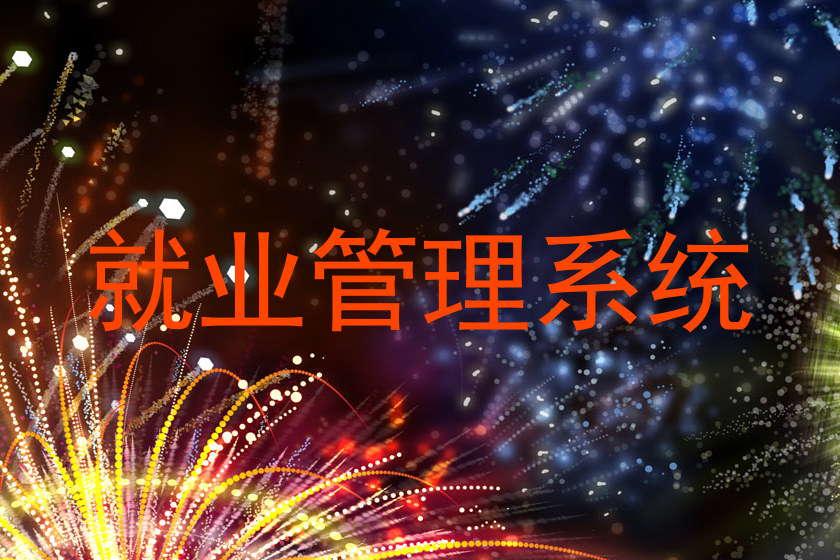 就业管理系统