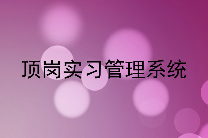 顶岗实习管理系统