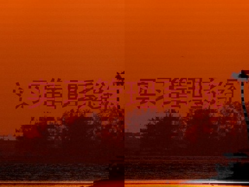 实习管理系统