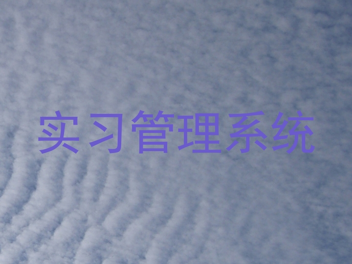 实习管理系统