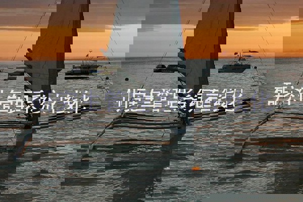 研究生管理系统在线化