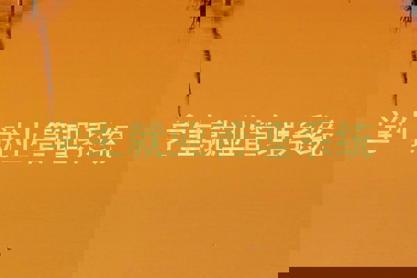 学生就业管理系统