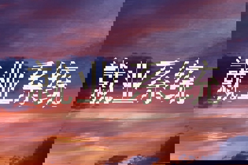 就业系统