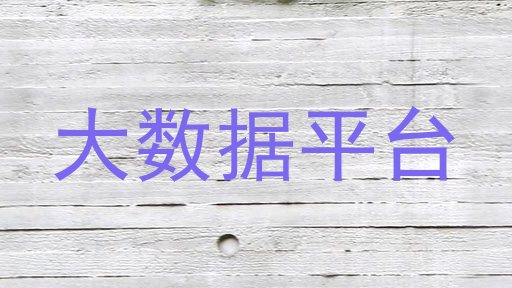 大数据平台