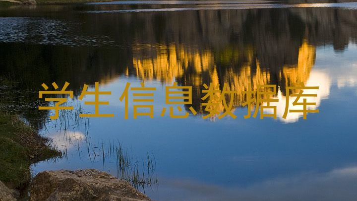 学生信息数据库