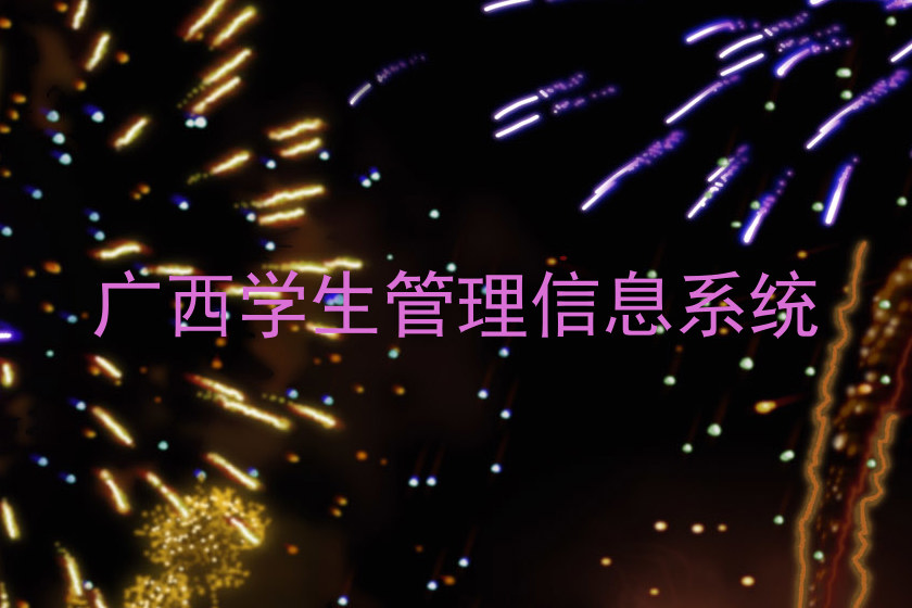 广西学生管理信息系统